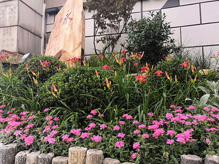 918博天堂 -- 官方网站